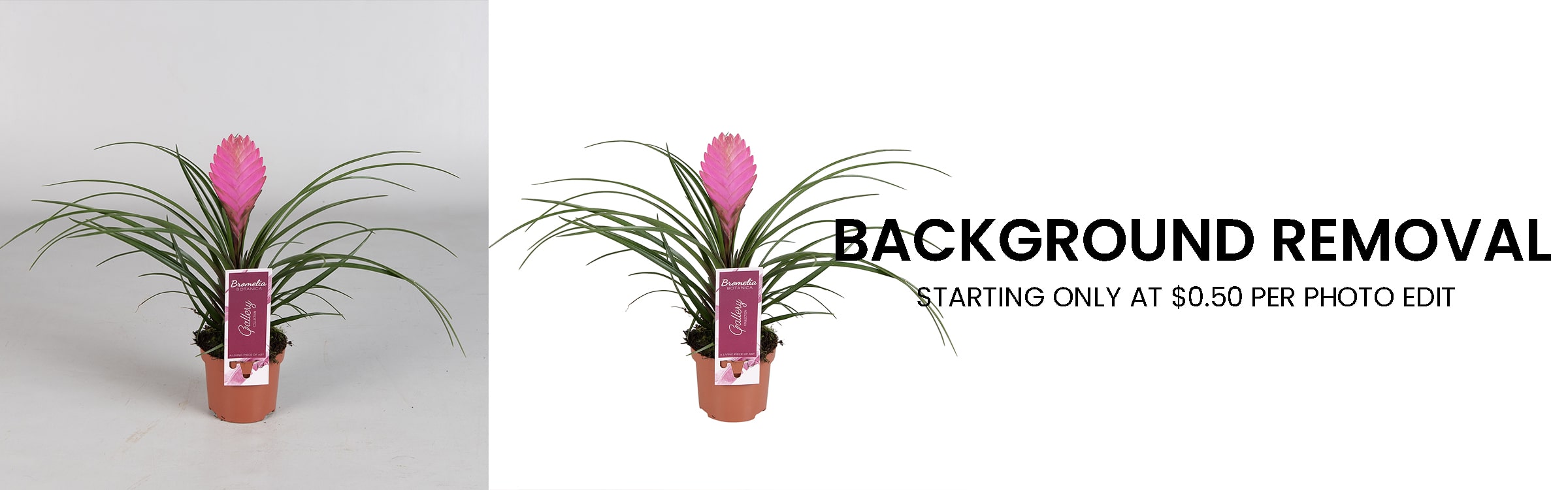 photography-retouching-services-26-wh960-min